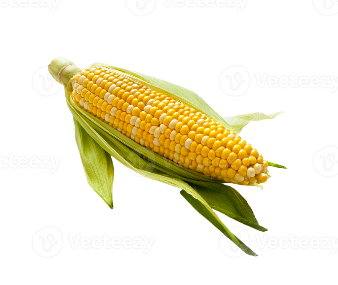 corn png transparent background
