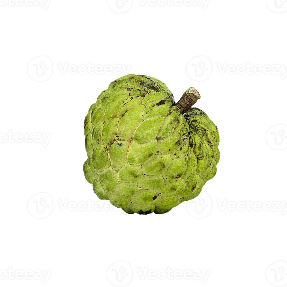 custard apple png transparent background