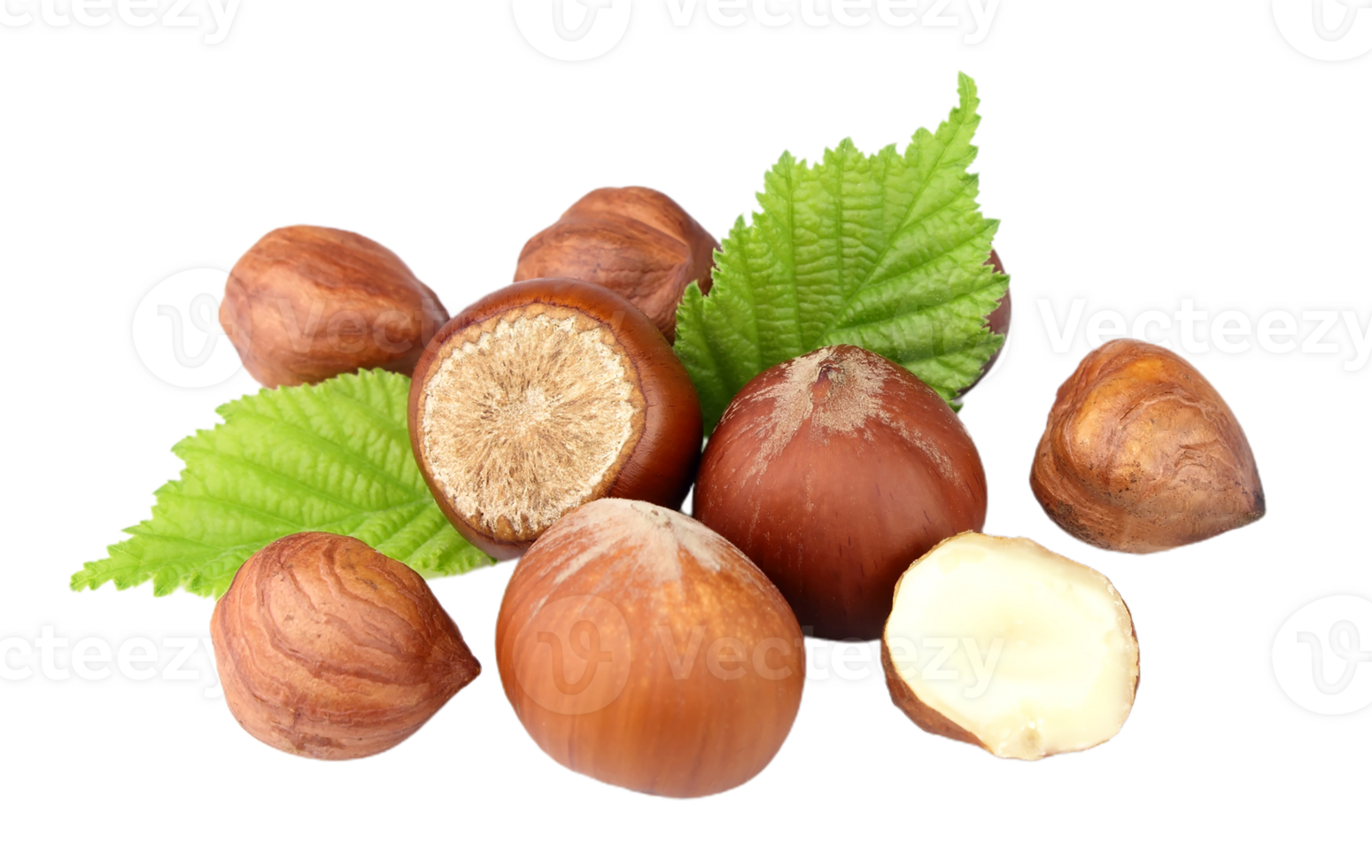 Hazelnut png transparent background