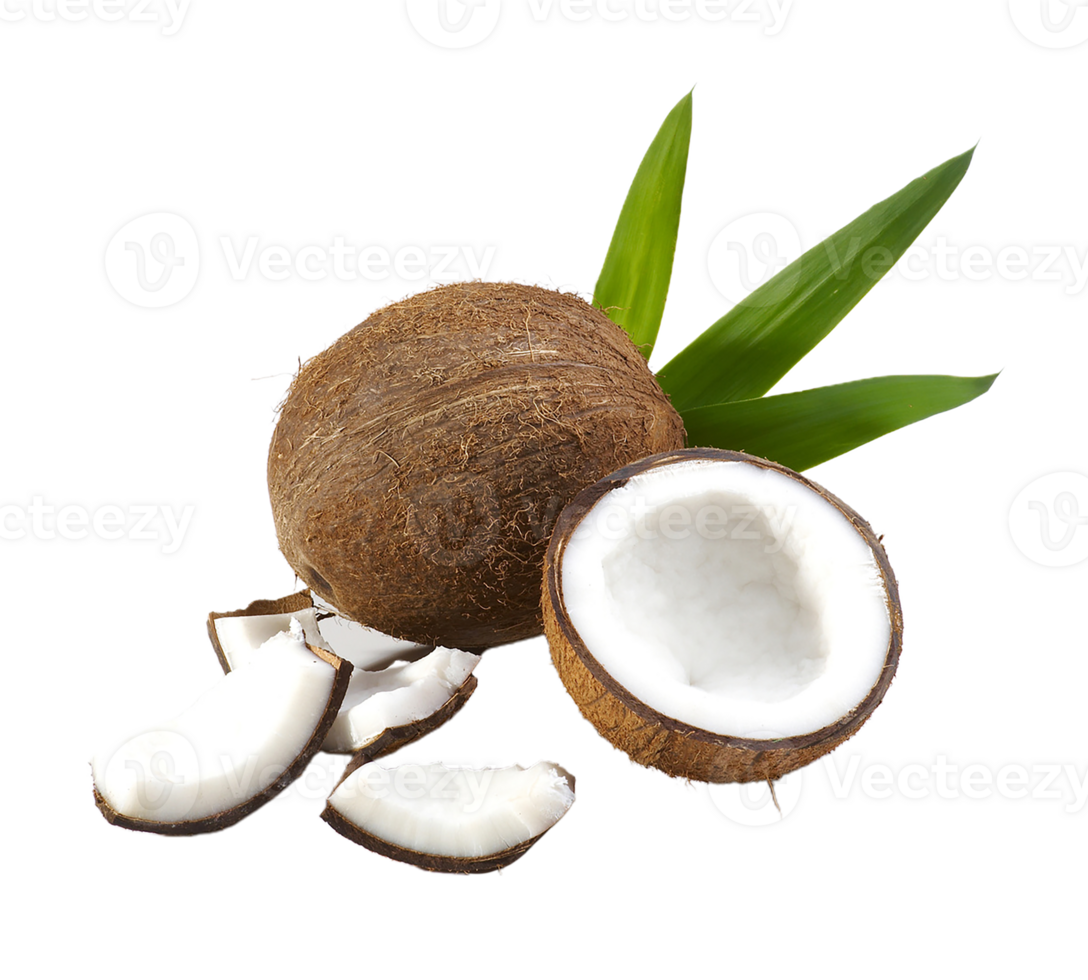 coconut png transparent background