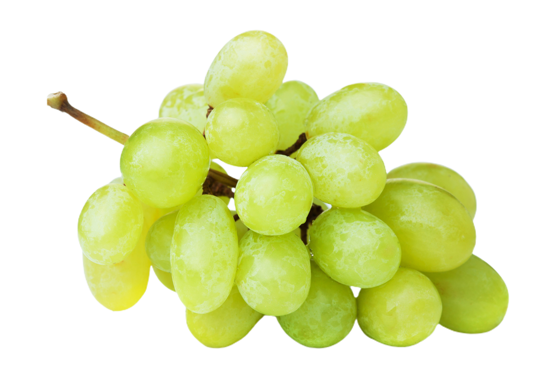Grapes png transparent background 29333380 PNG