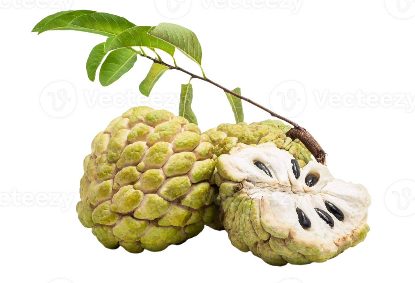 custard apple png transparent background