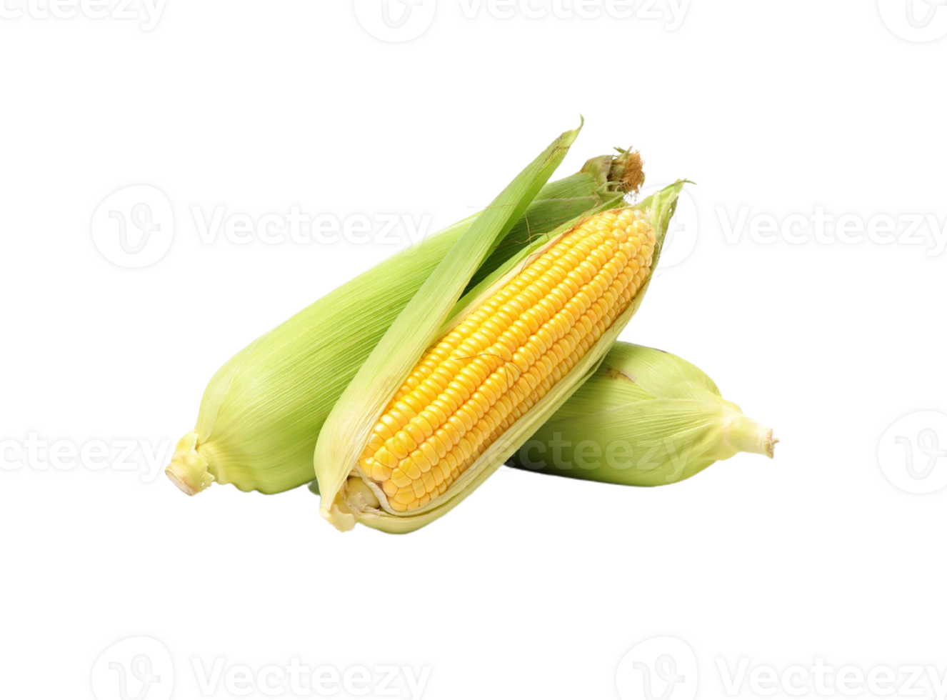 corn png transparent background