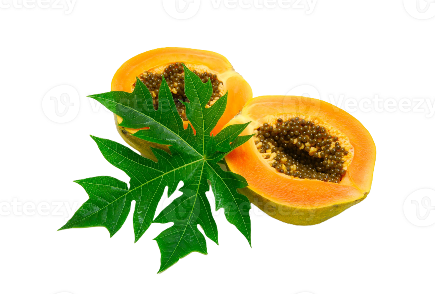 Papaya png transparent background