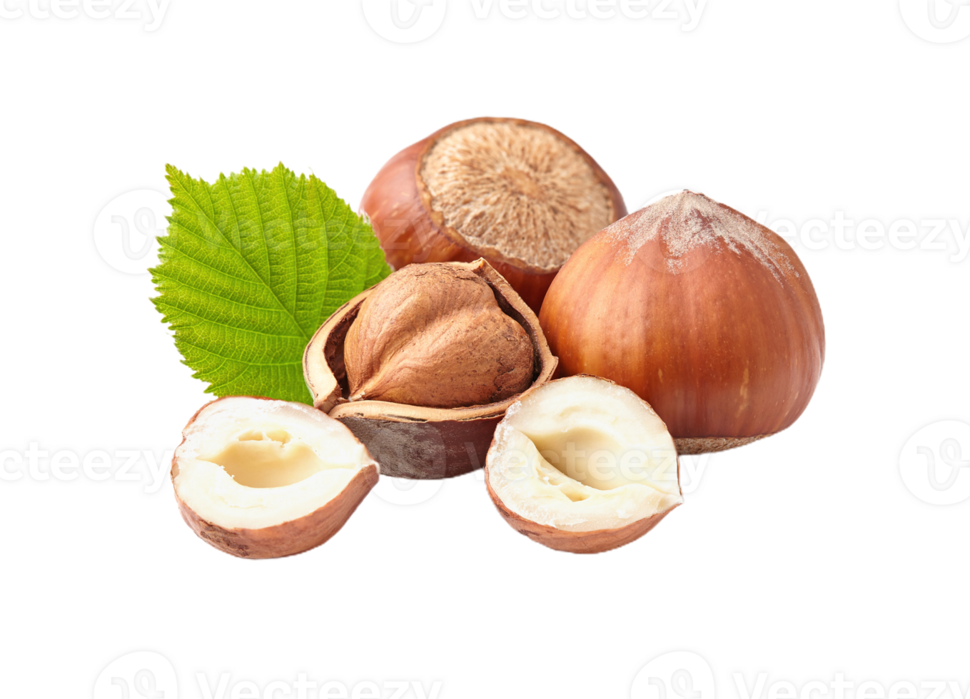 Hazelnut png transparent background