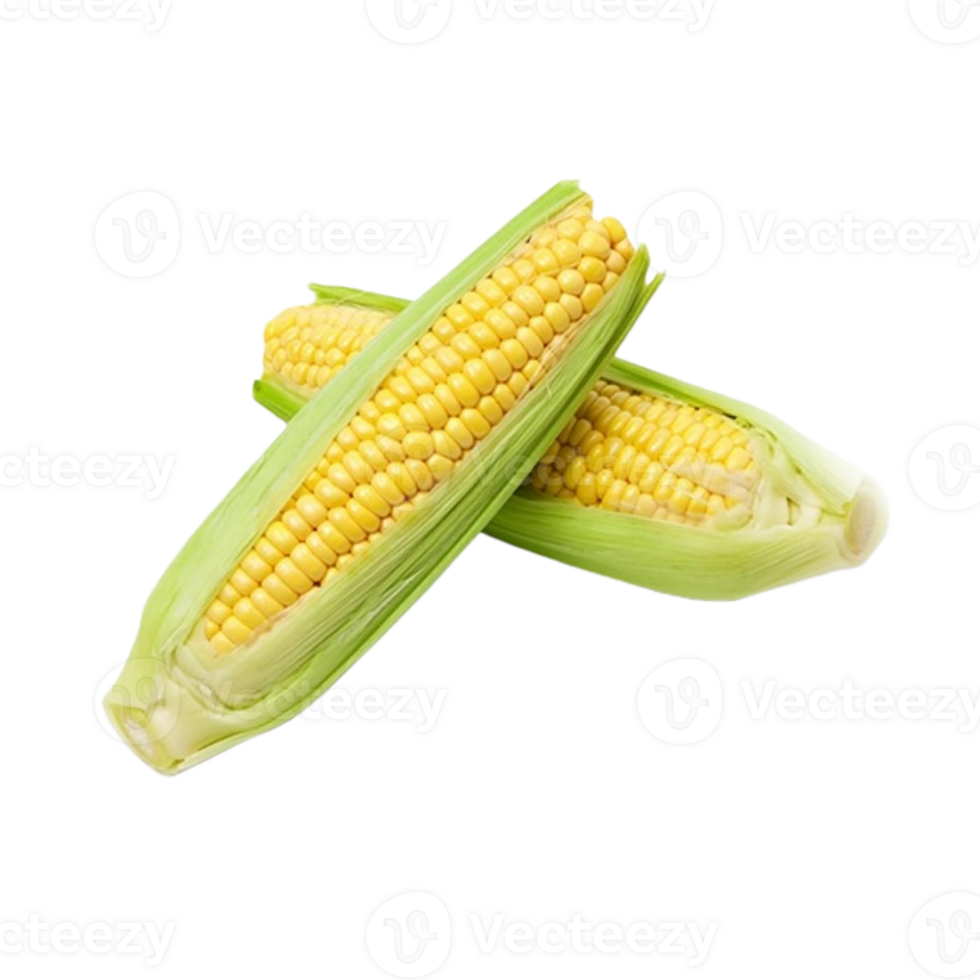 corn png transparent background