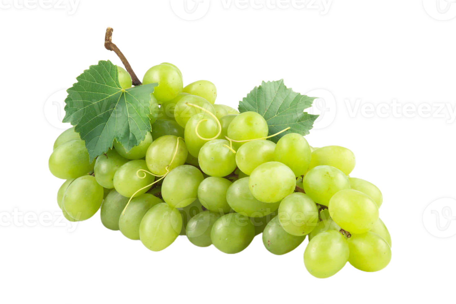 Grapes png transparent background