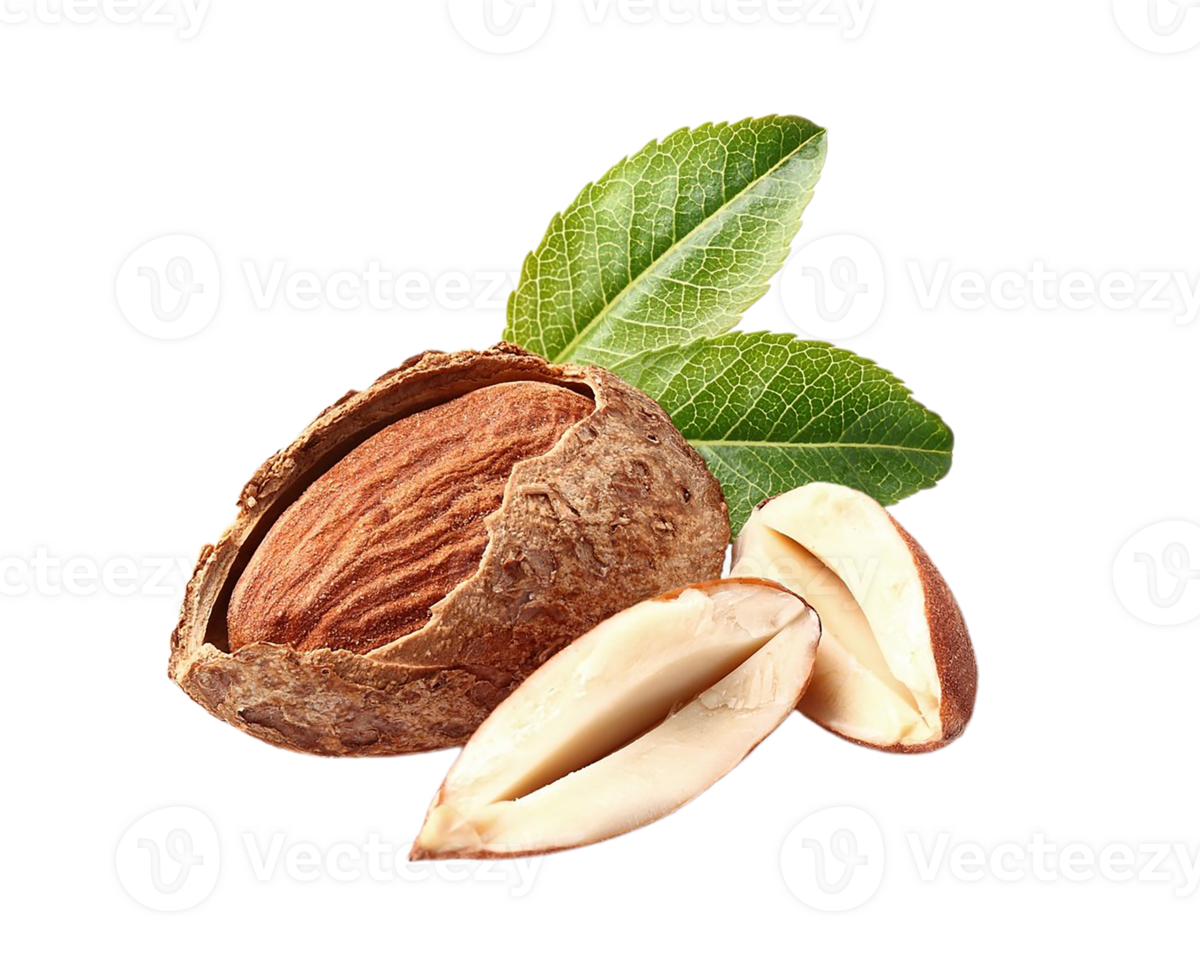 almonds png transparent background