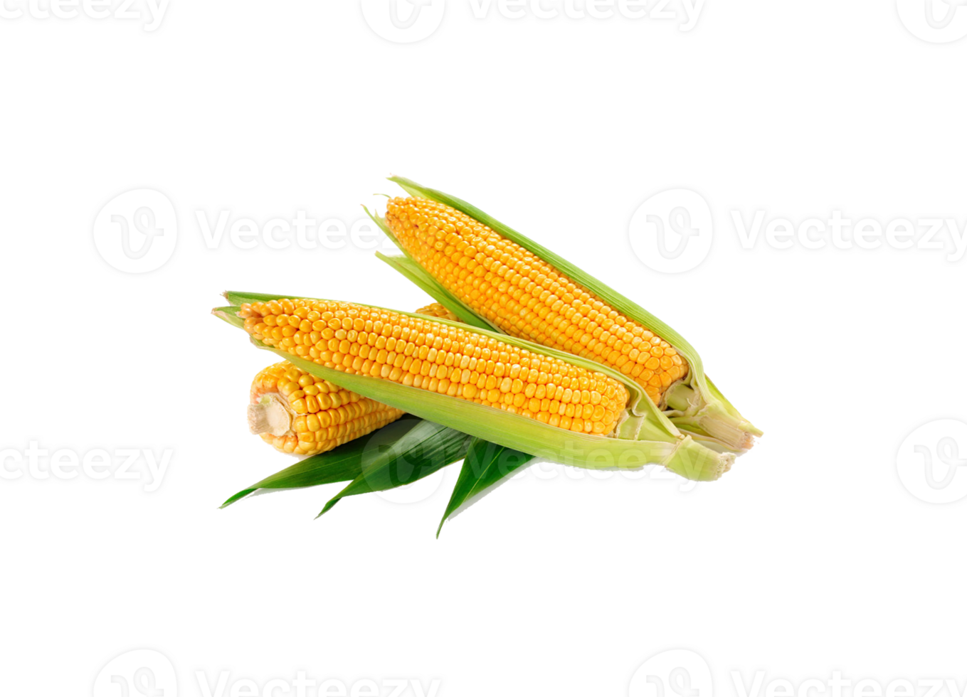 corn png transparent background
