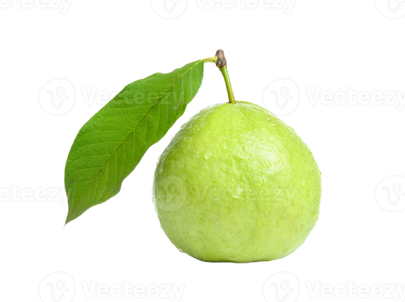 Guava png transparent background