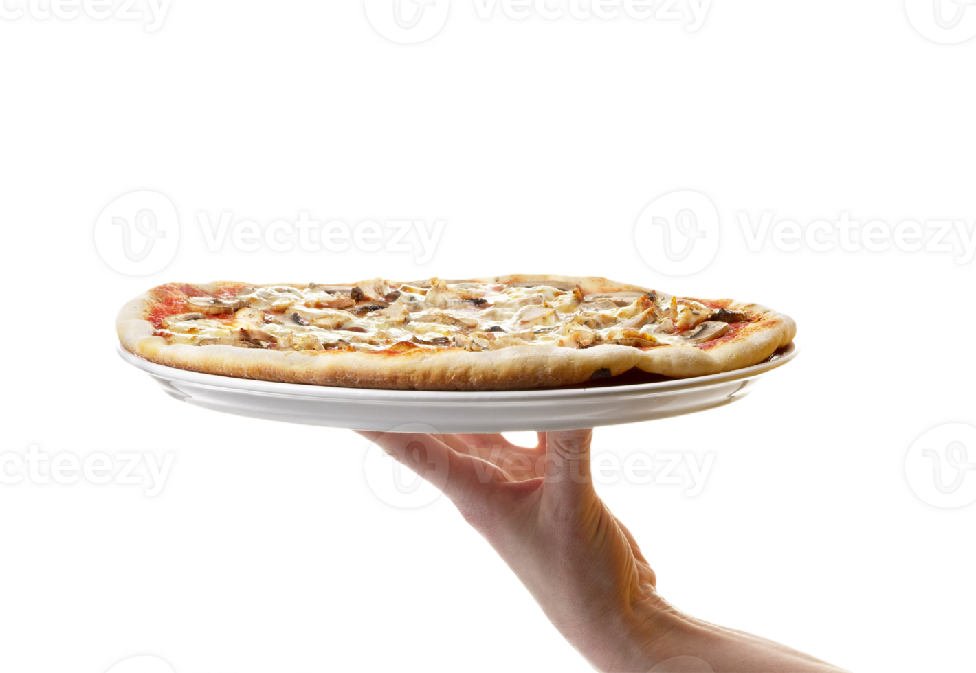 pizza png transparent background