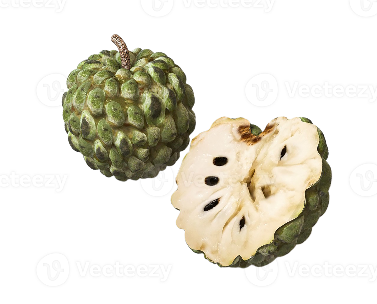 custard apple png transparent background