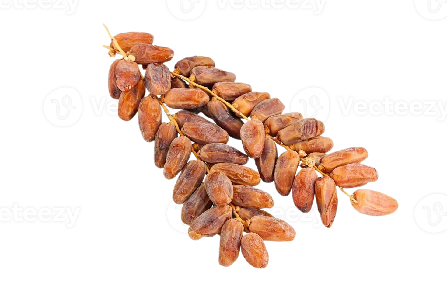 dates png transparent background