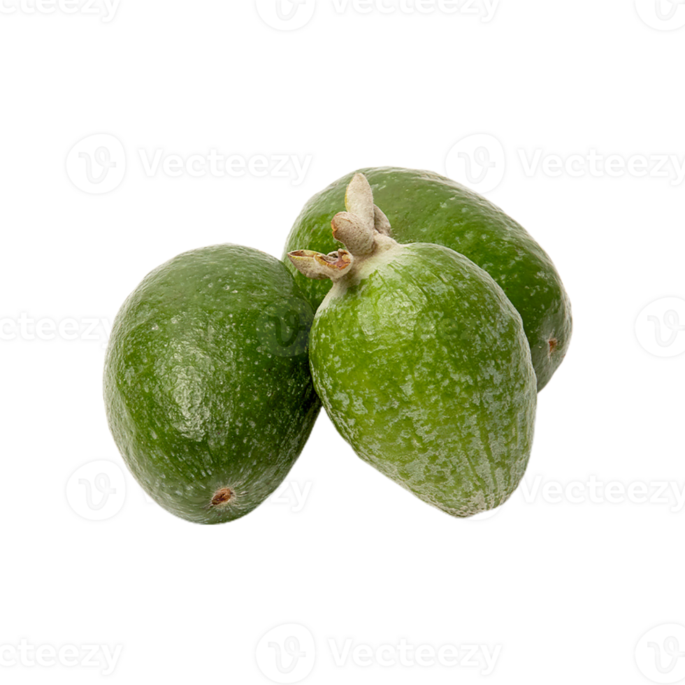 Feijoa png transparent background