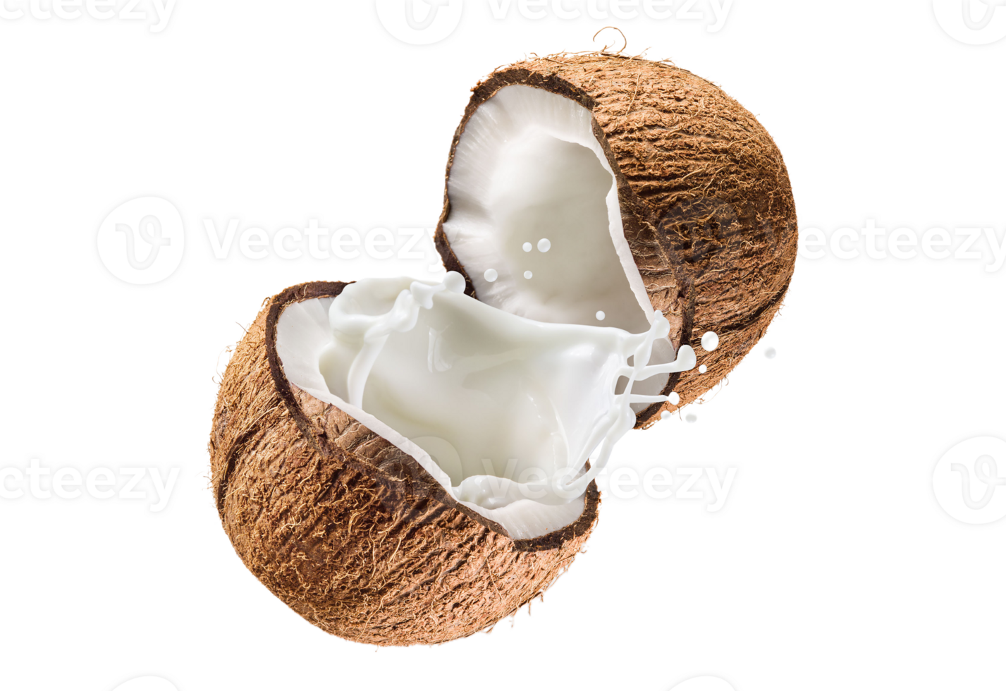 coconut png transparent background