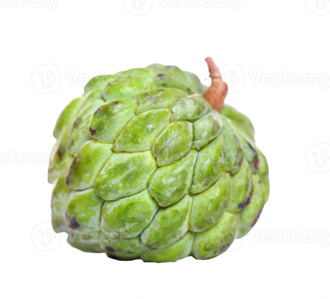 custard apple png transparent background