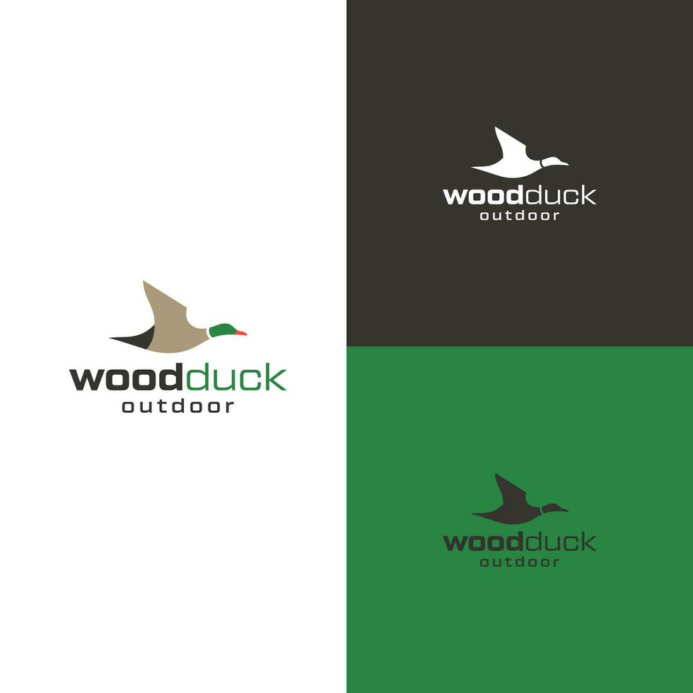 Wood duck flying facing right outdoor. vector