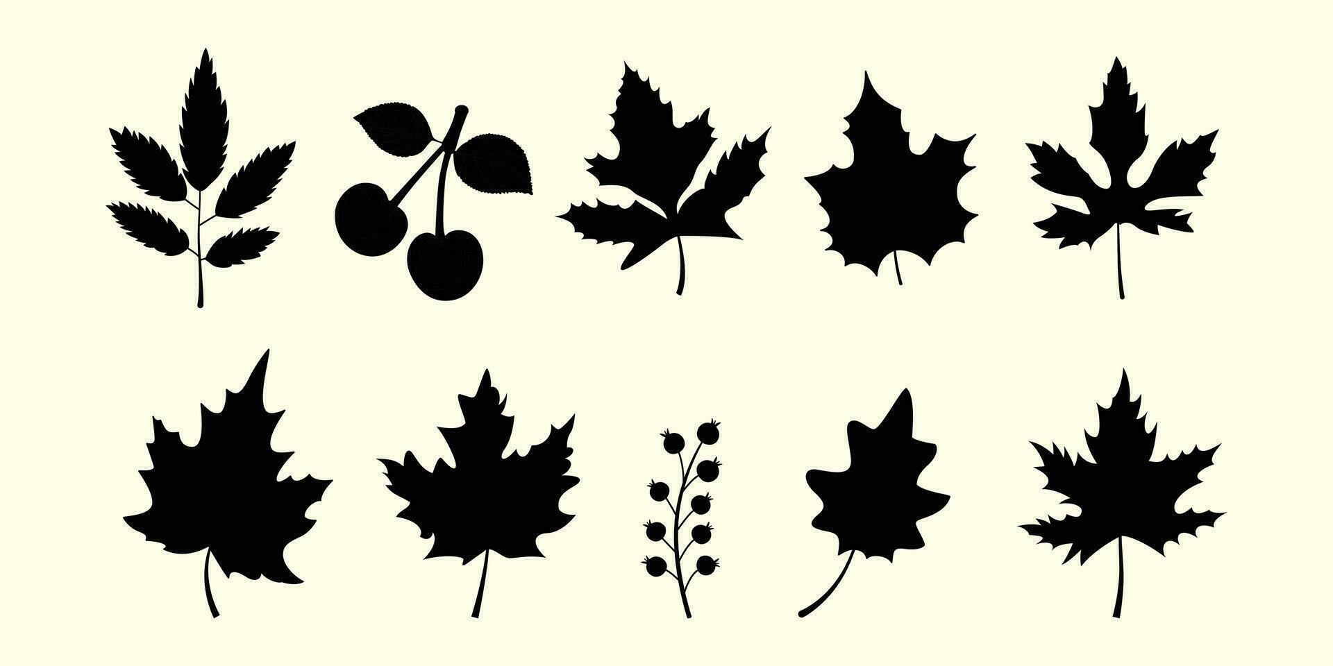 Collection of seasonal plants and leaves in an autumnal style. Flowers, leaves, and plants drawn by hand. vector