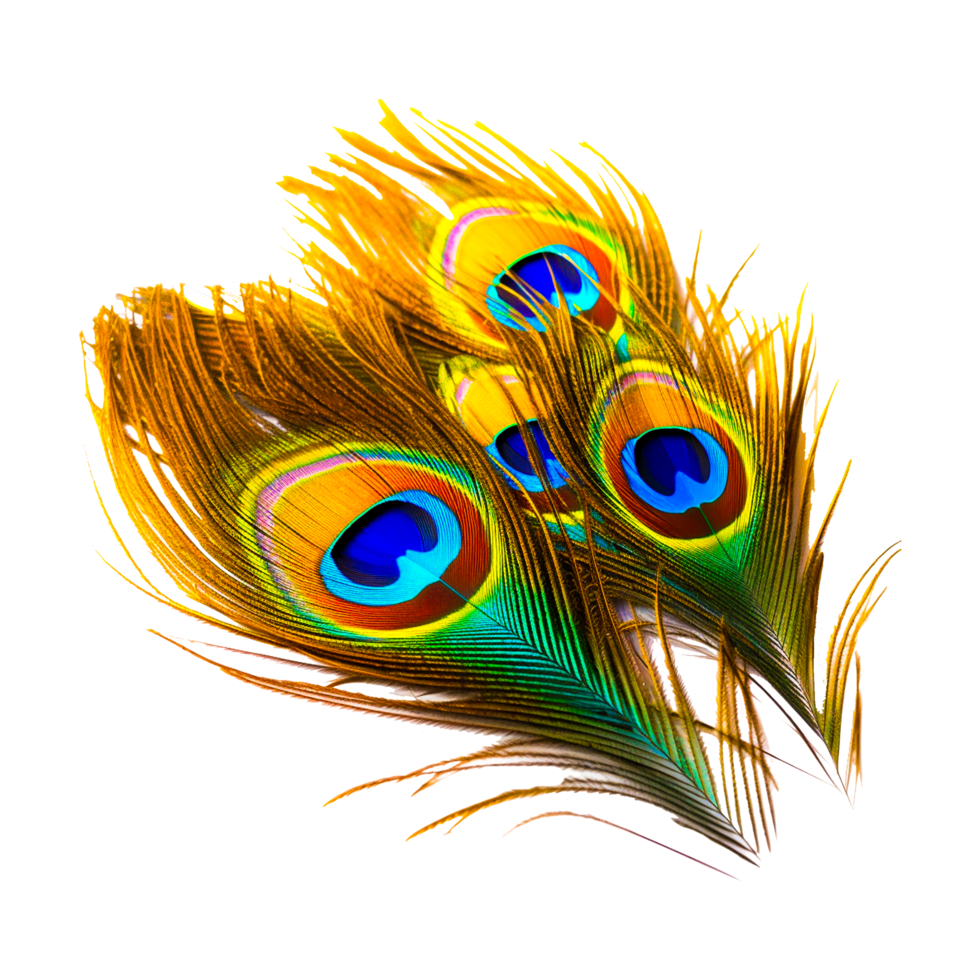 Elegant Peacock Feathers Display Generative Ai 29336297 PNG