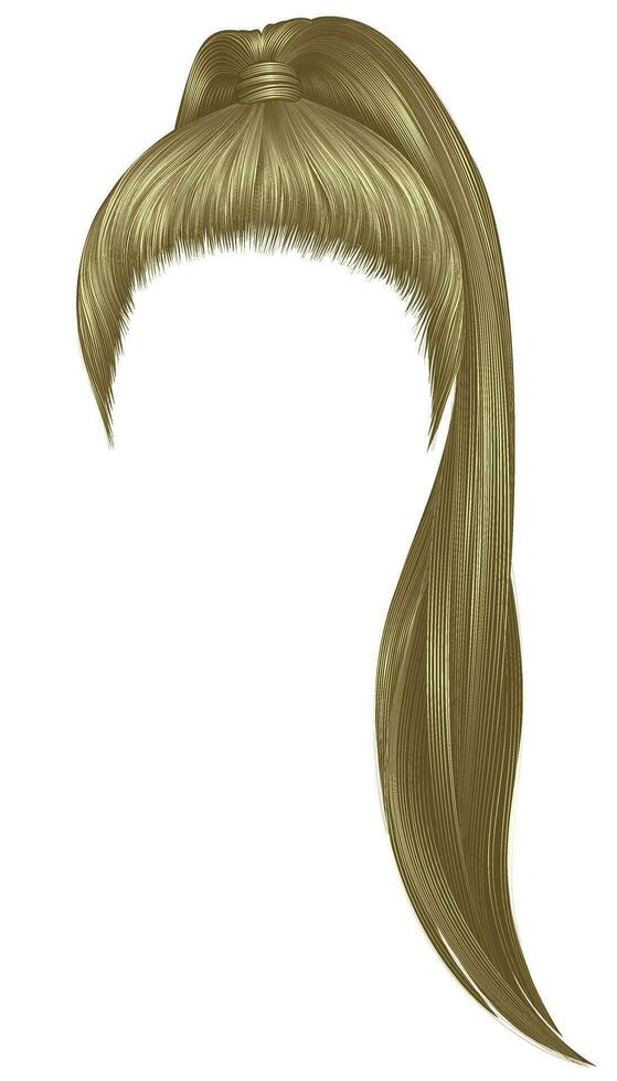 trendy women hairs blond colour .high tail . fashion beauty style . vector