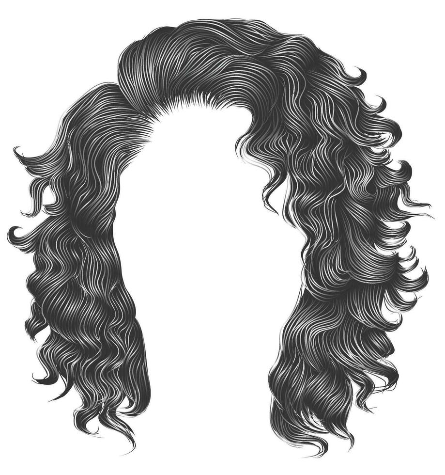 long curly hairs gray colors  .  beauty fashion style . wig . vector