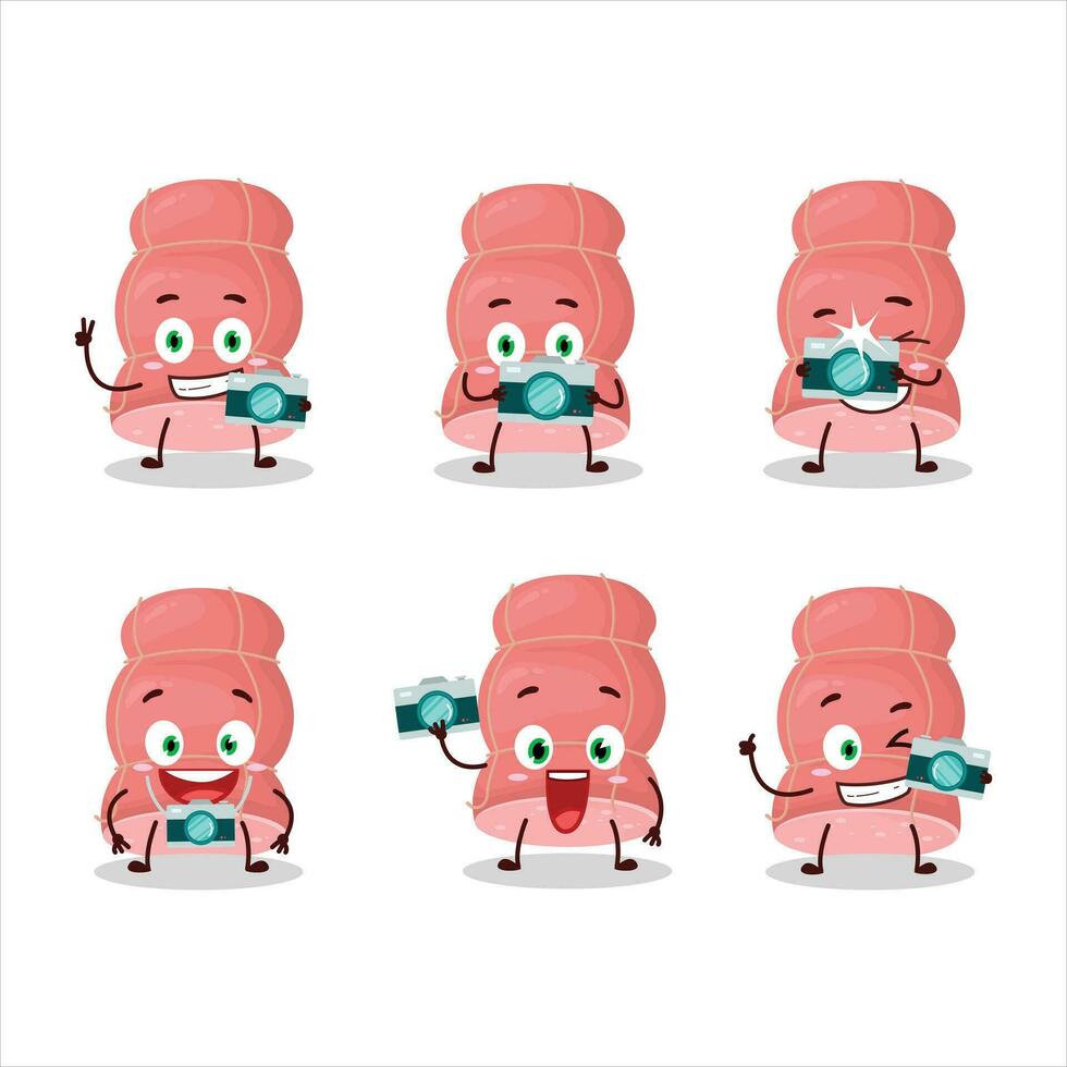 Photographer profession emoticon with boiled sausage cartoon character vector