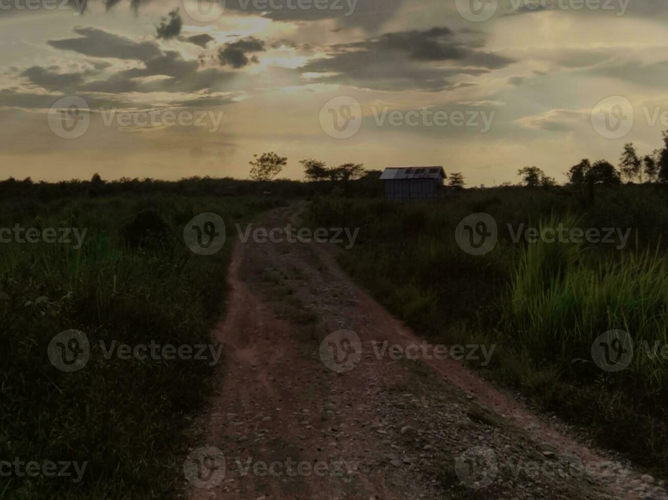 photo Beautiful twilight sky