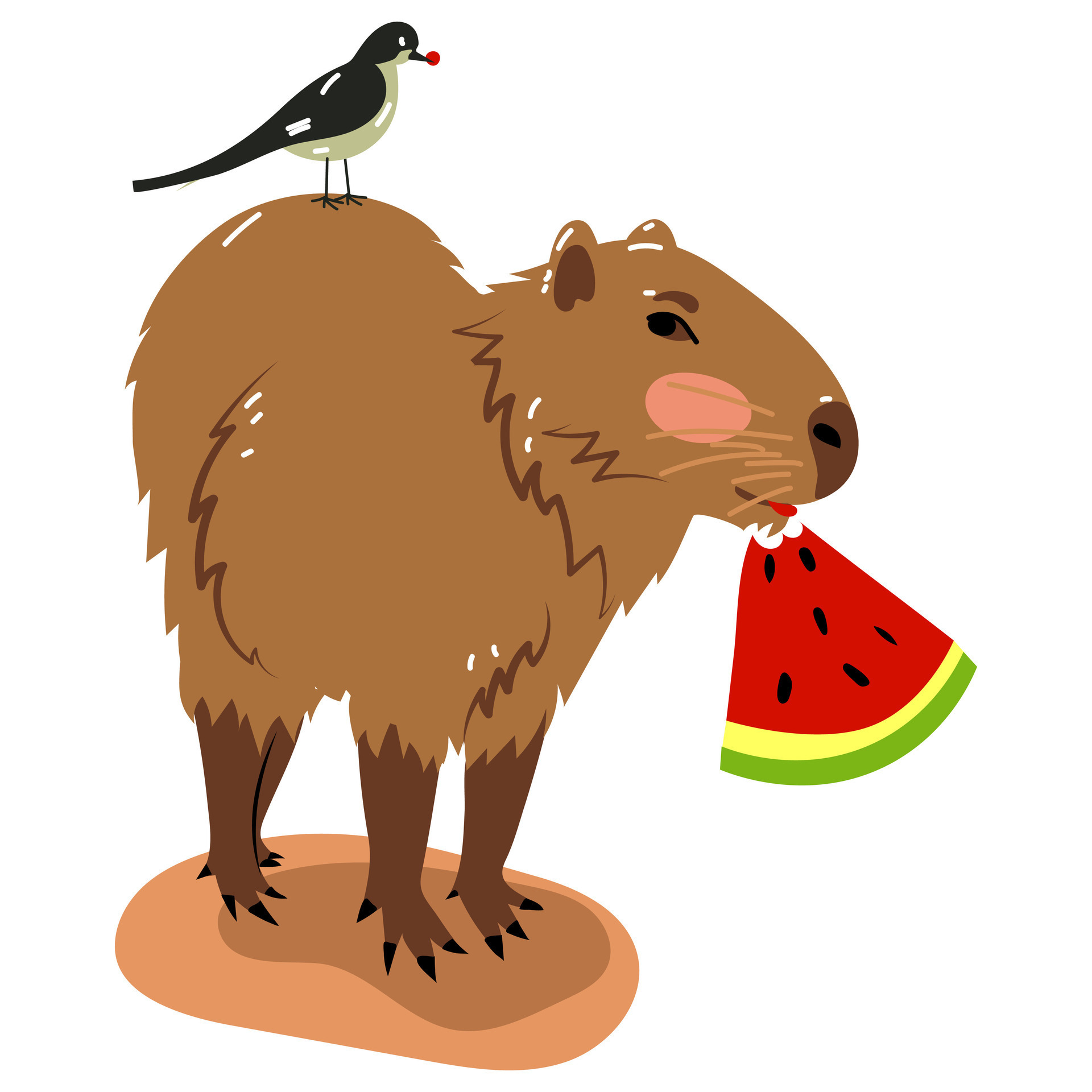 Capybara and watermelon.