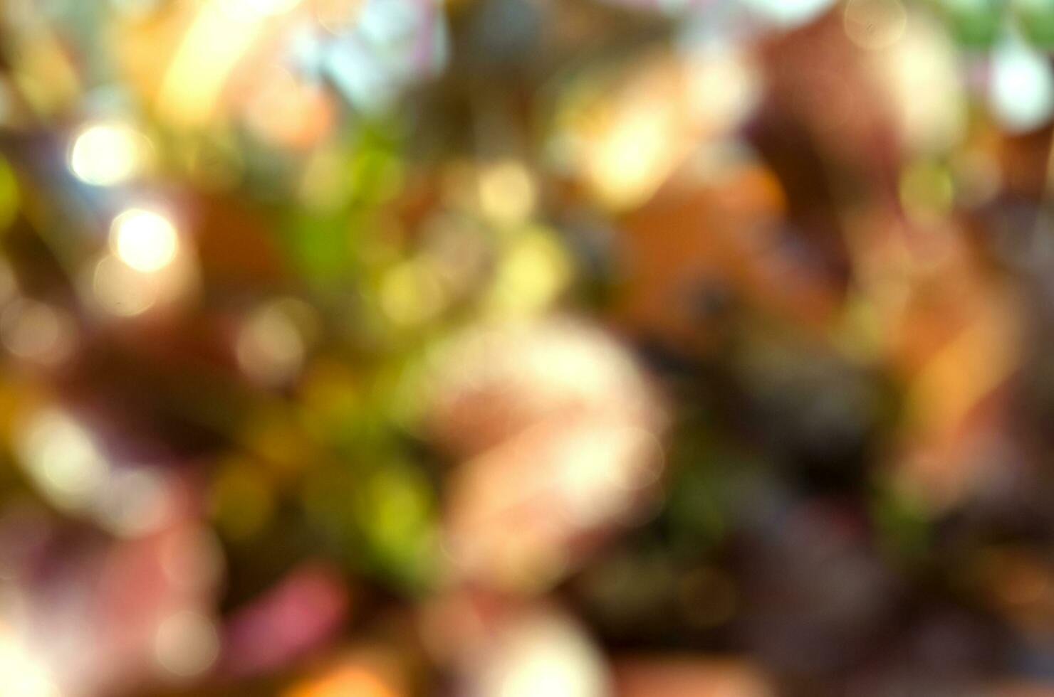 Abstract Blurry Bokeh Background for Texture With Copy Space. photo