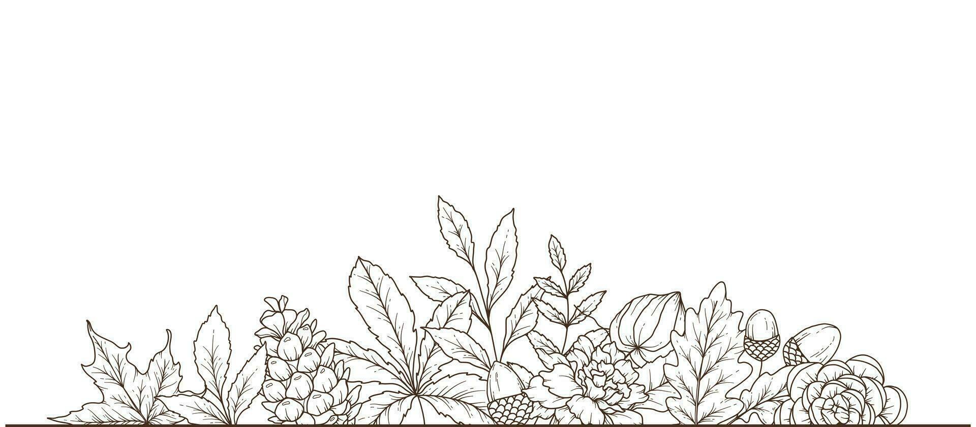 Fall floral frame outline. Fall Foliage Line Art Illustration, Outline Leaves arrangement Hand Drawn Illustration. Fall Coloring Page with Leaves vector