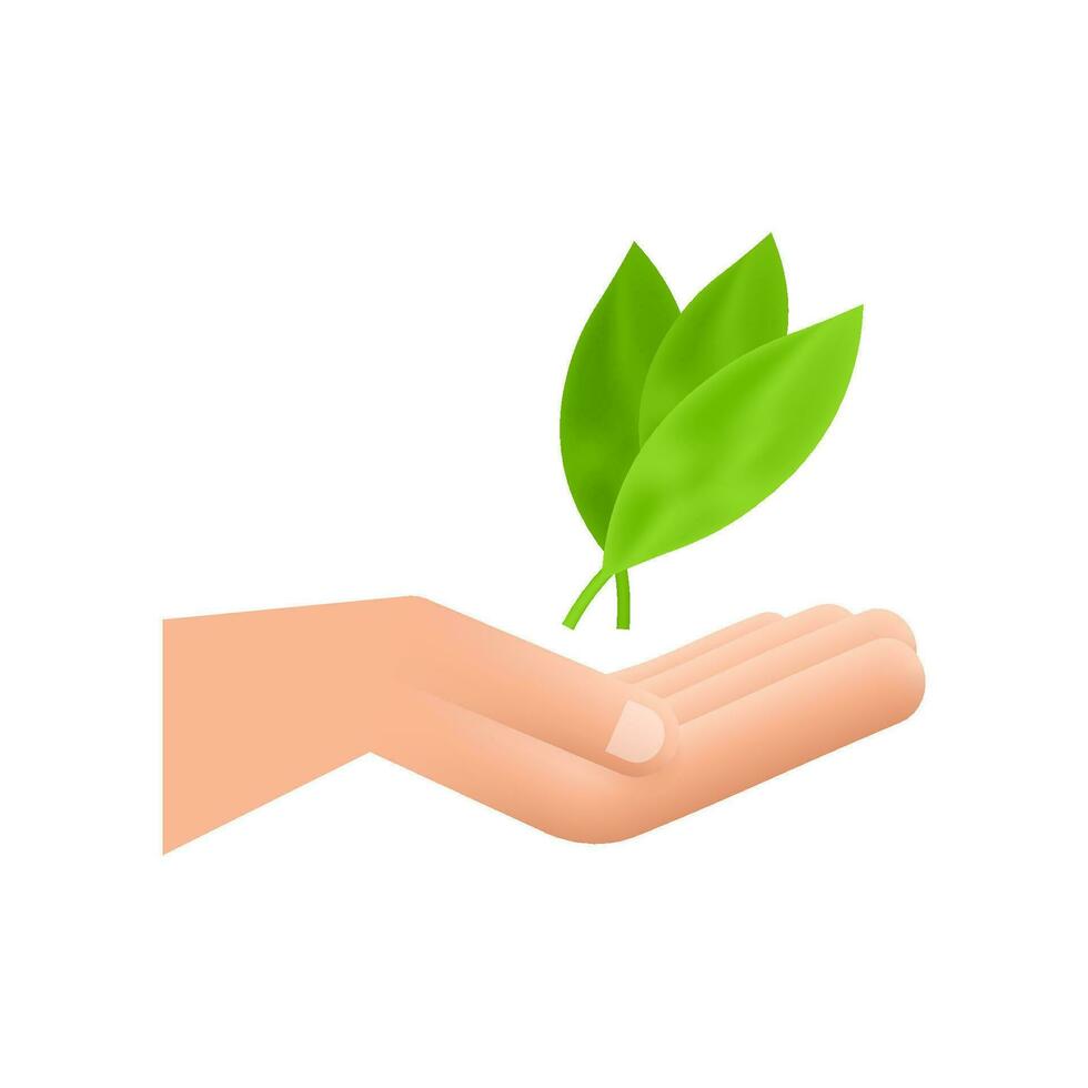 Hands hold a leaf of the plant, sapling. Male farmer, Gardening. Motion graphics 4k vector