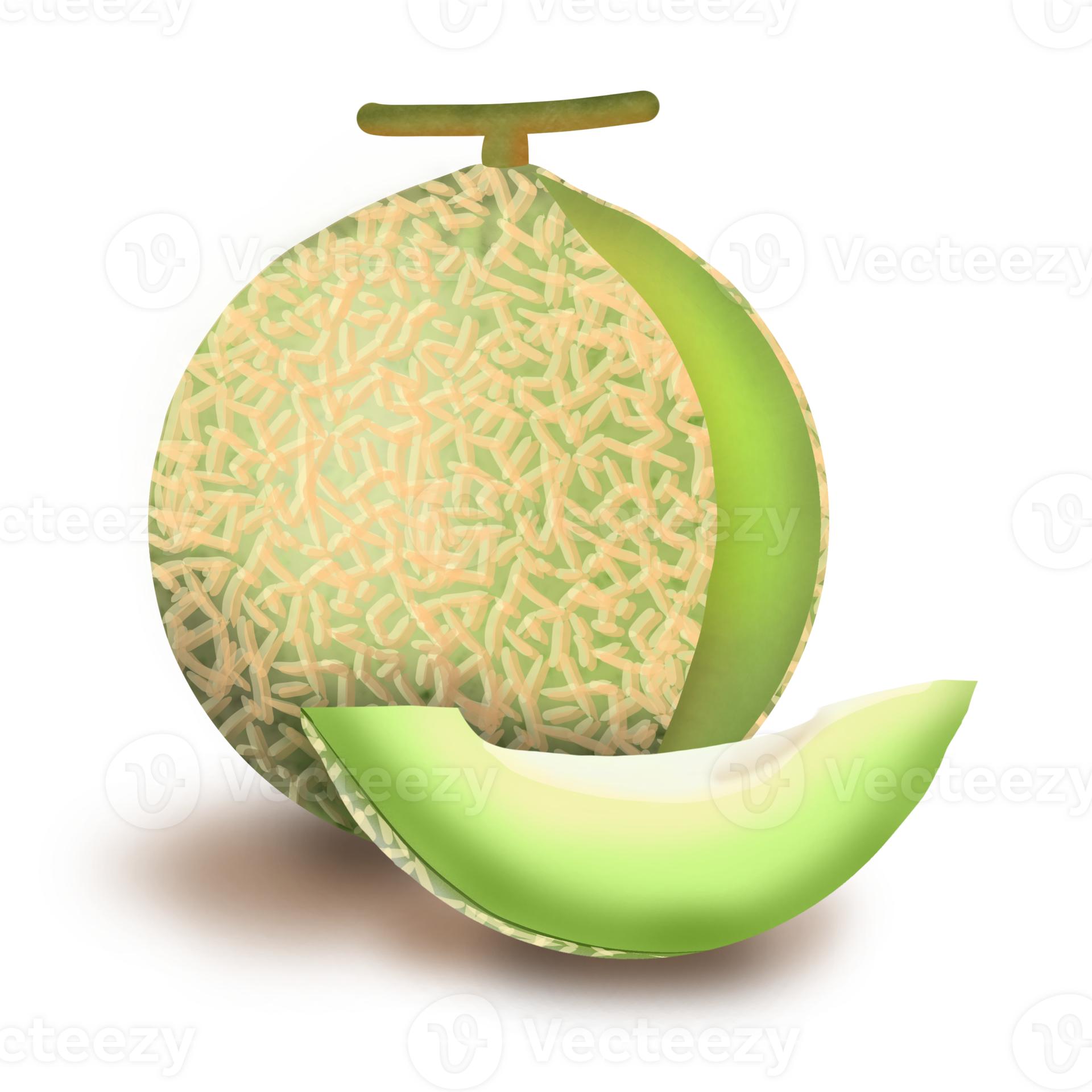 Melon green, vegetables and fruits 5 colors ,green 29341431 PNG