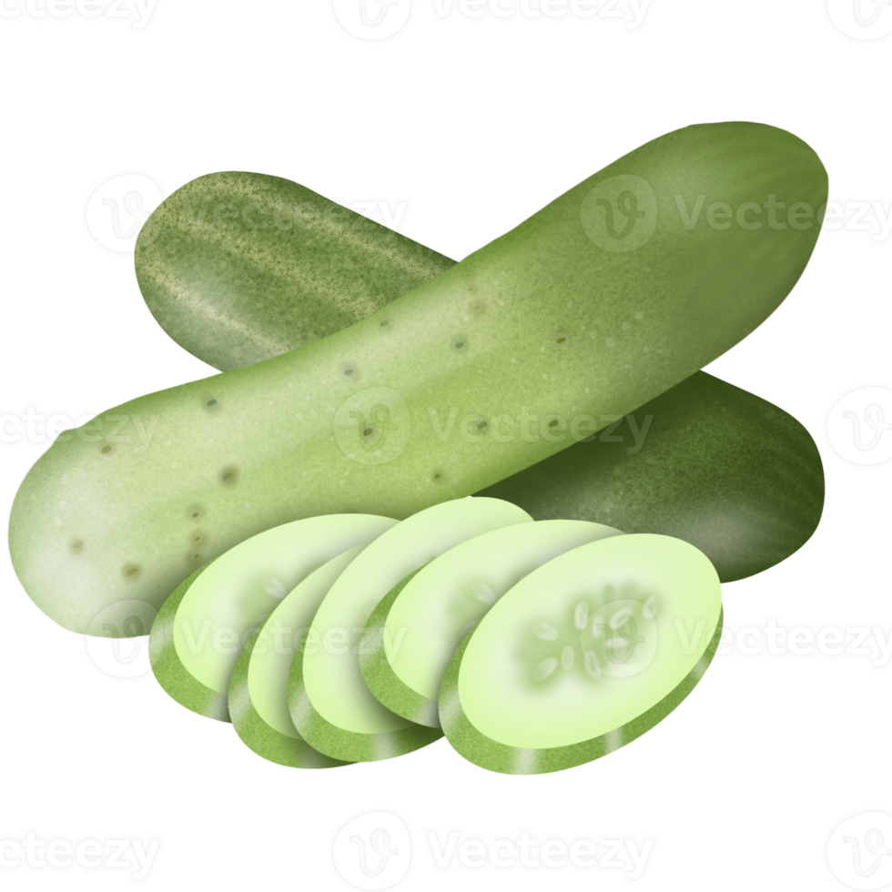 cucumber, vegetables and fruits 5 colors ,green png