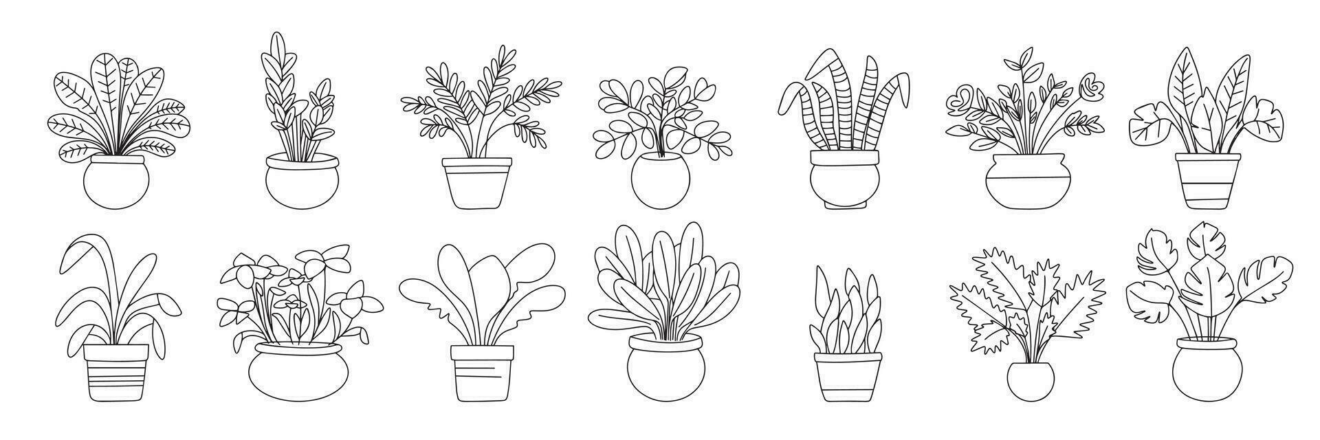 Big collection of houseplants in doodle style. Outline houseplant isolated on white background. Collection of houseplant set icons. Vector illustration.