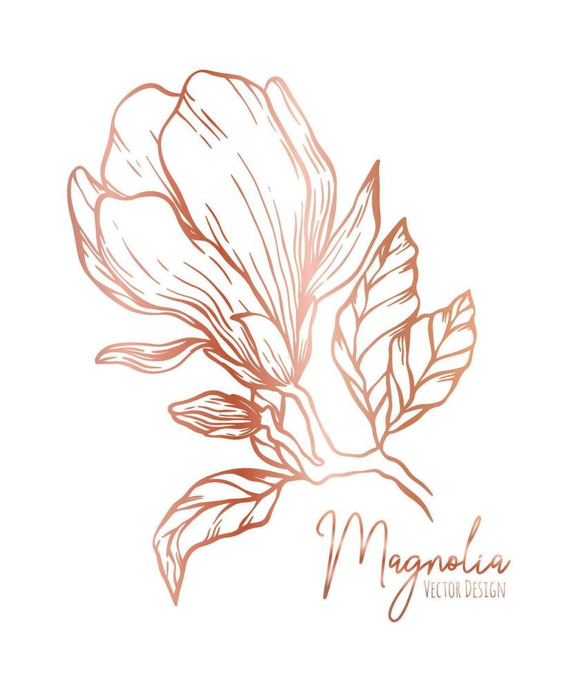 magnolia flor línea ilustración colocar. mano dibujado Rosa oro contorno Boda hierba, elegante hojas para invitación salvar el fecha tarjeta. botánico de moda verdor vector colección para web, imprimir, carteles