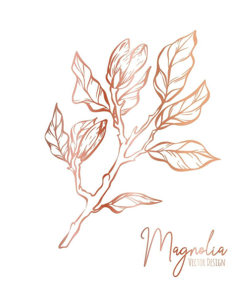 Magnolia flower line illustration set. Hand drawn rose gold outline wedding herb, elegant leaves for invitation save the date card. Botanical trendy greenery vector collection for web, print, posters.