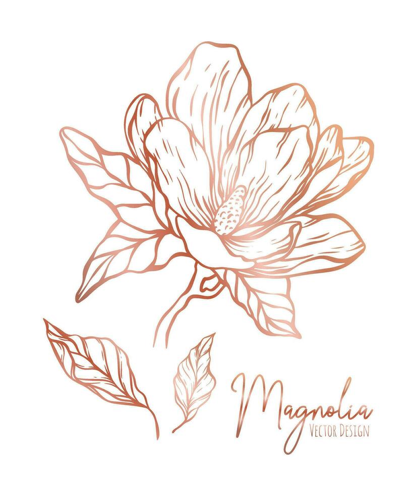 magnolia flor línea ilustración colocar. mano dibujado Rosa oro contorno Boda hierba, elegante hojas para invitación salvar el fecha tarjeta. botánico de moda verdor vector colección para web, imprimir, carteles