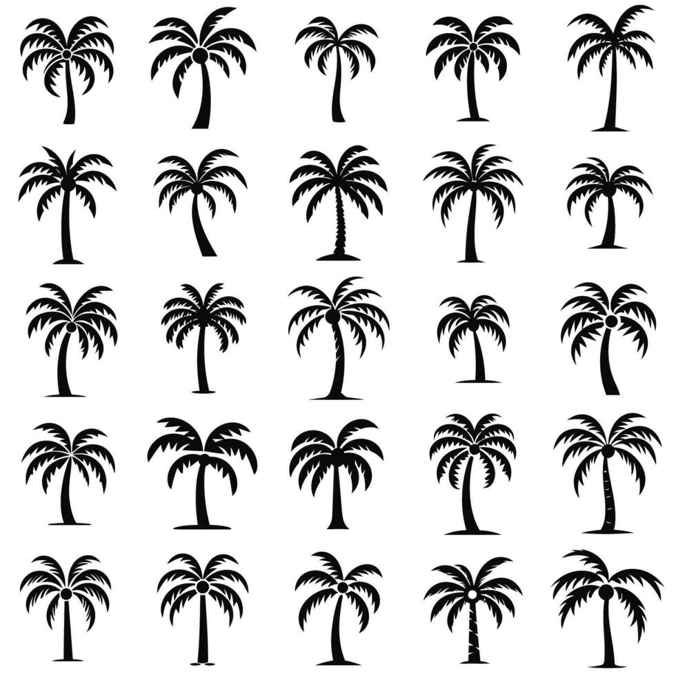 tropical palma árbol icono conjunto negro contorno vector