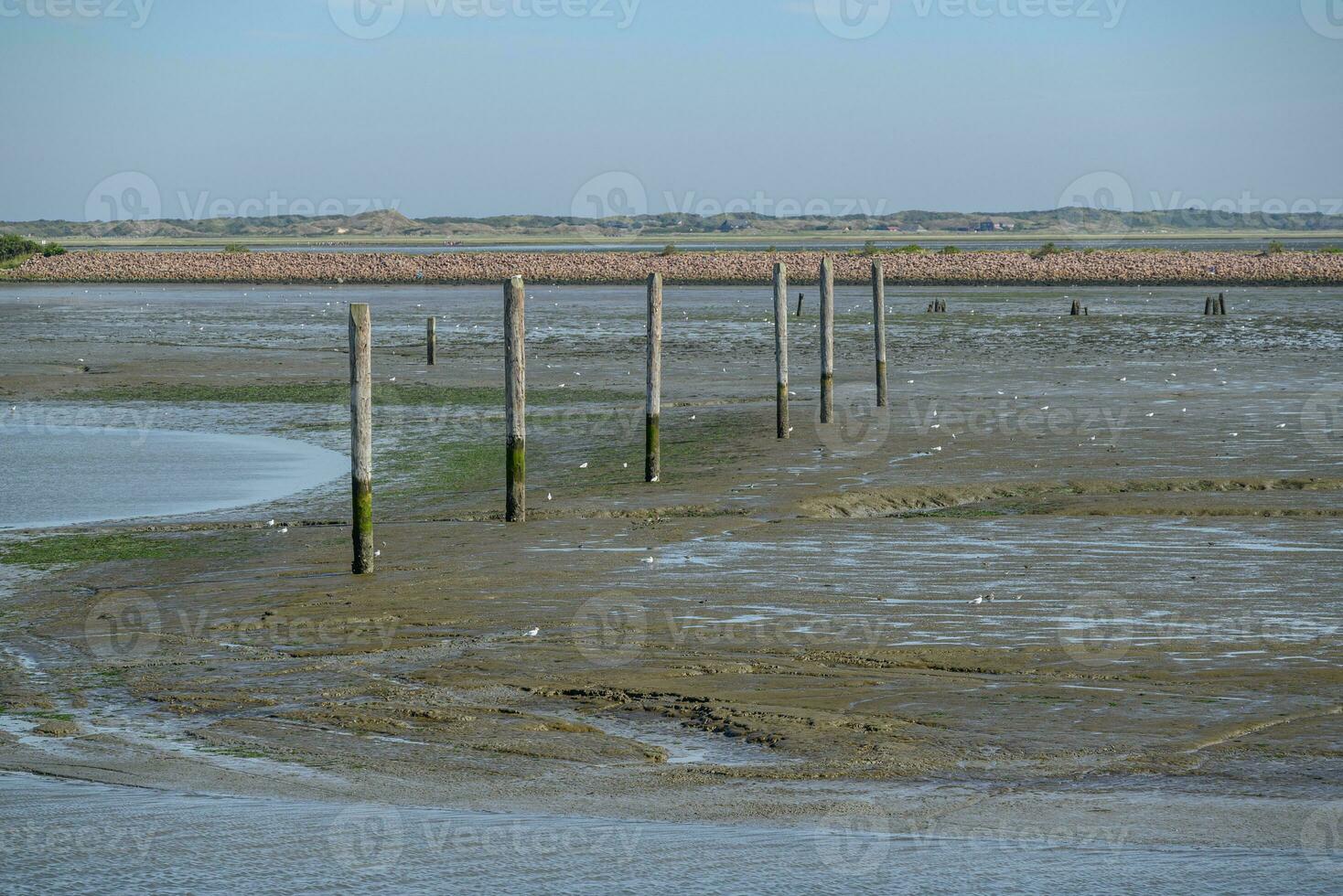 the island of Langeoog photo