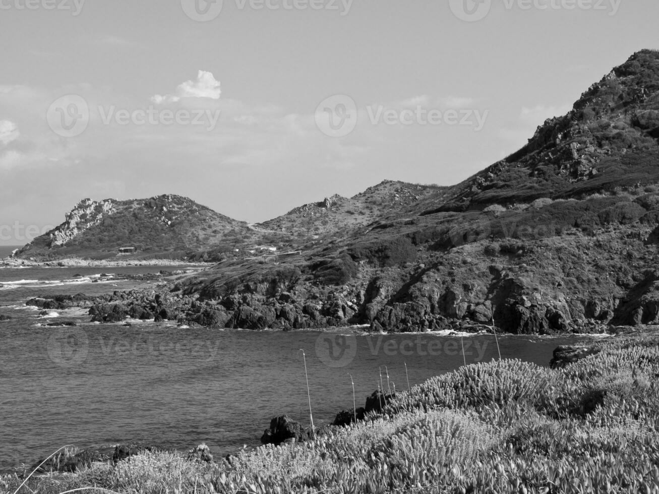 the island of corcisa photo