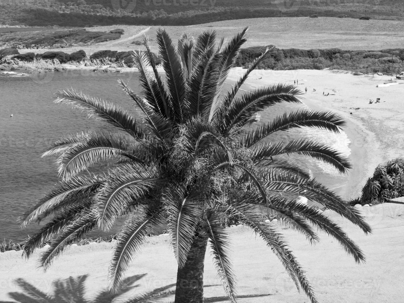 the island of corsica photo