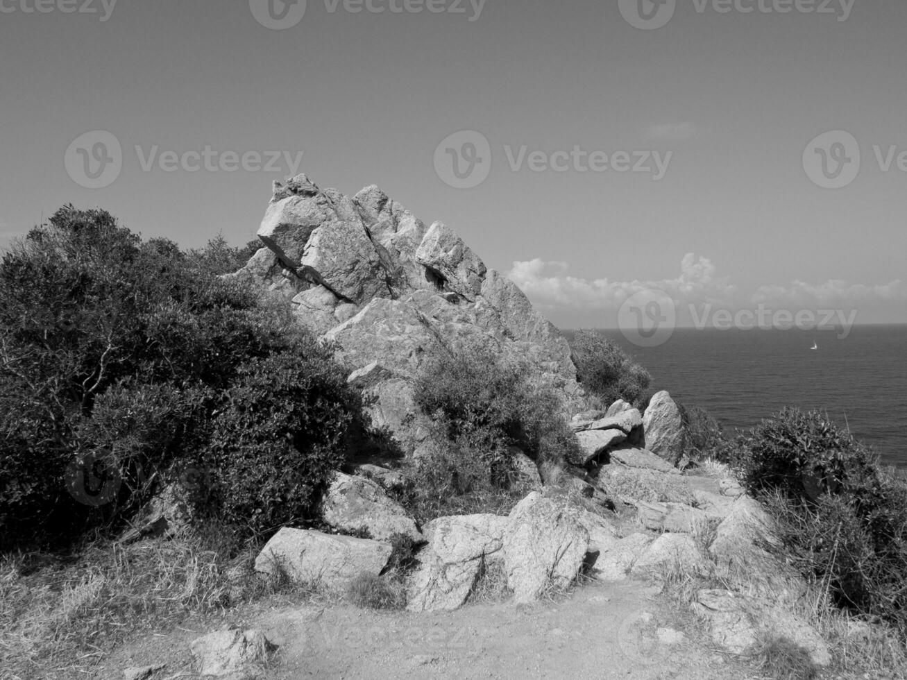 the island of corsica photo