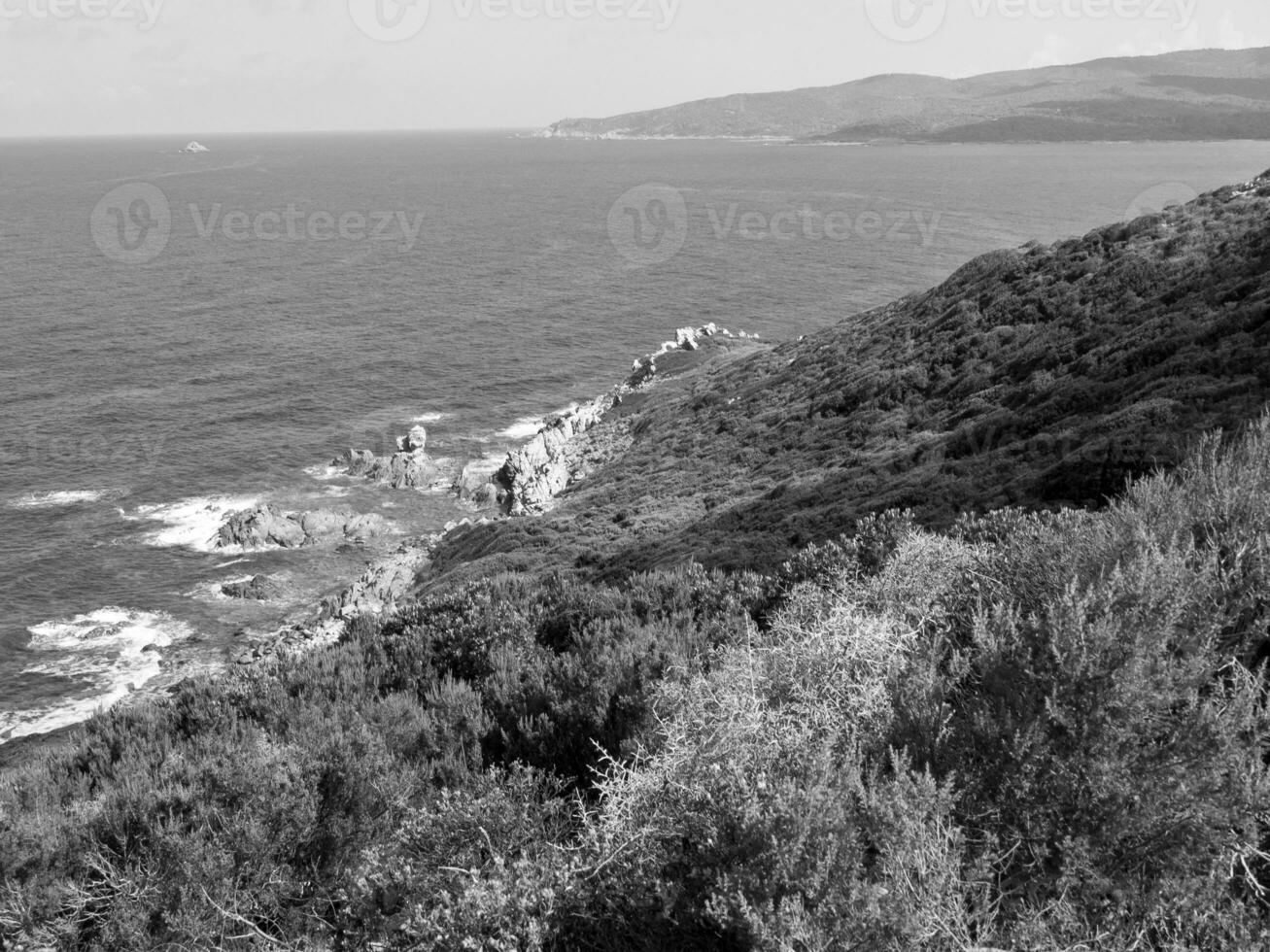the island of corsica photo