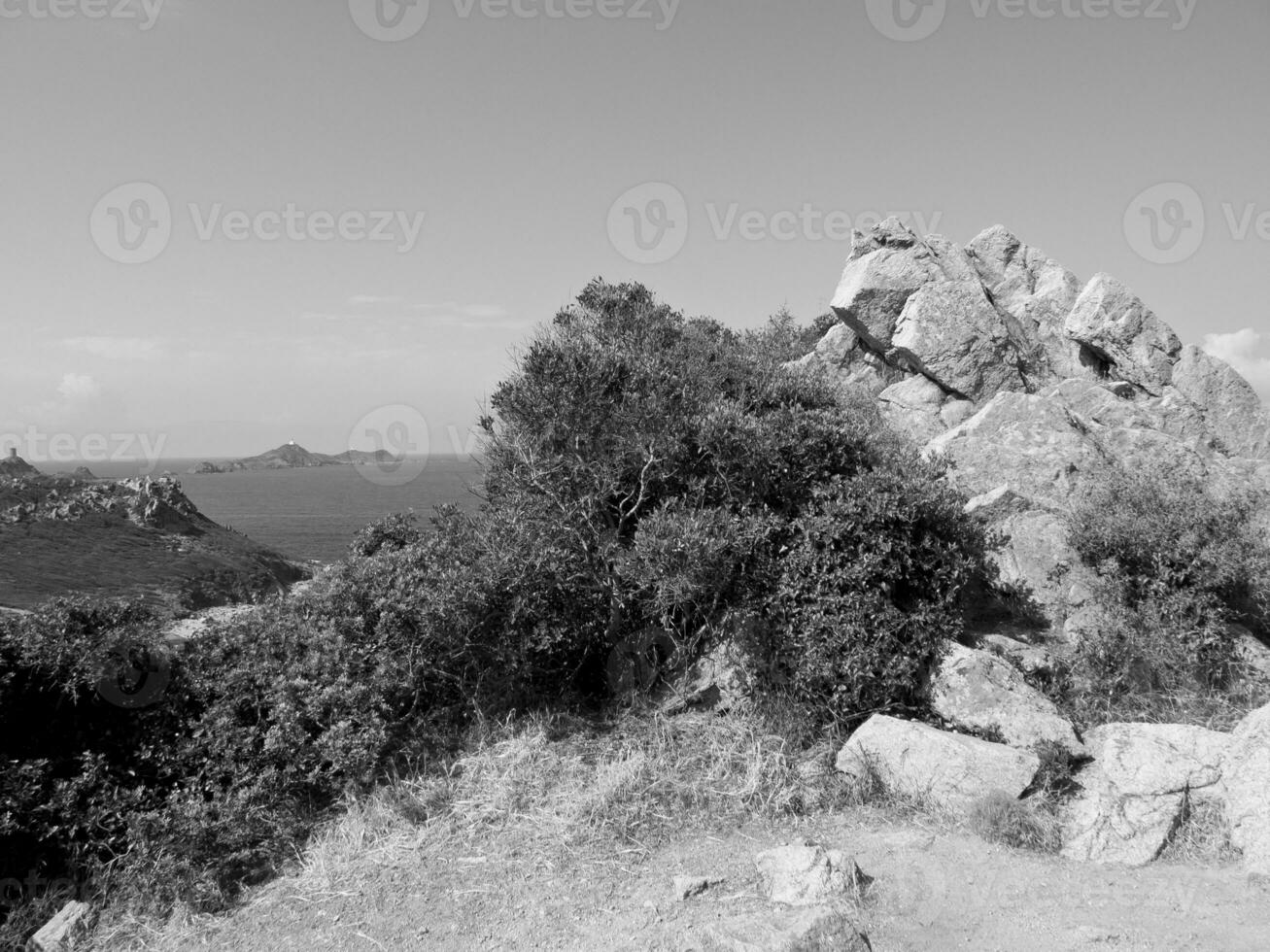 the island of corsica photo