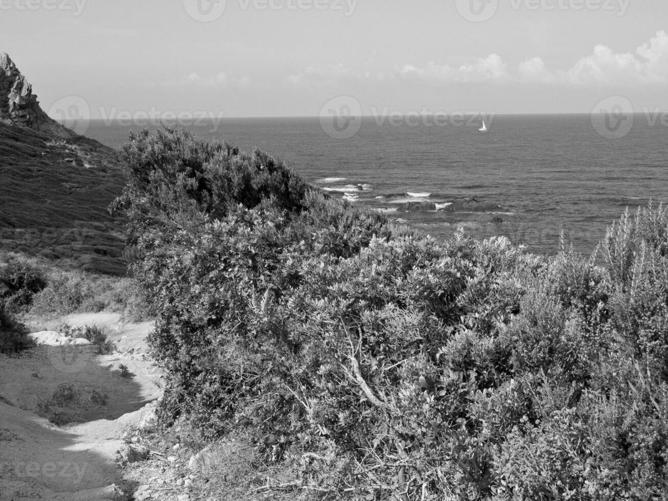 the island of corsica photo