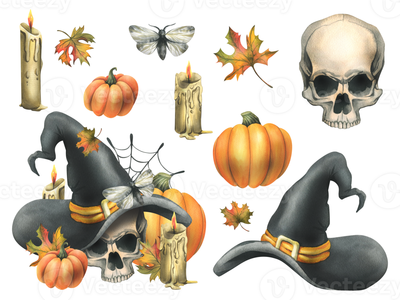 Humain crâne dans une noir sorcière chapeau avec Orange citrouilles, toiles d'araignées, bougies et l'automne érable feuilles. main tiré aquarelle illustration pour Halloween. ensemble de éléments png