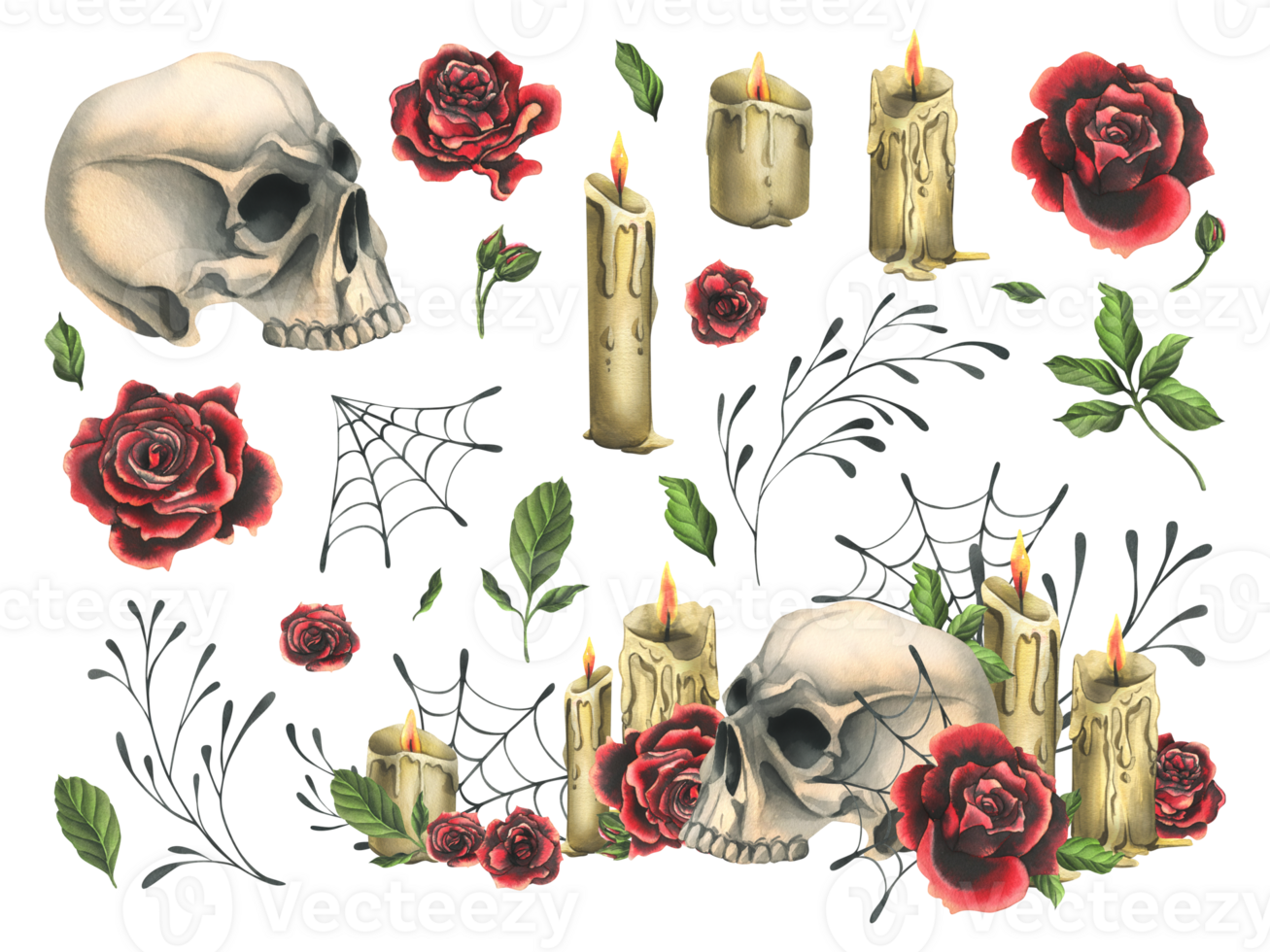 Human skull with red roses, candles and cobwebs. Hand drawn watercolor illustration for Halloween, day of the dead, Dia de los muertos. Set of isolated elements png