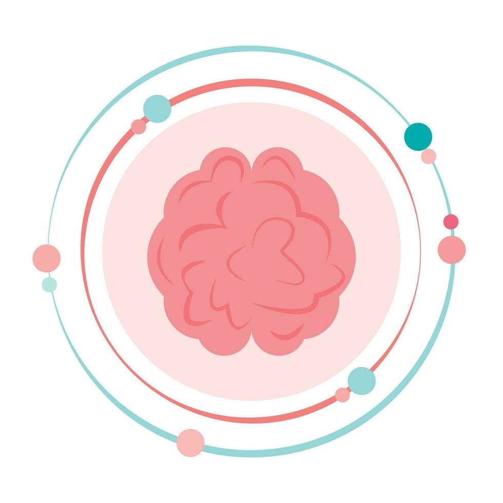 Brain vector illustration graphic icon symbol