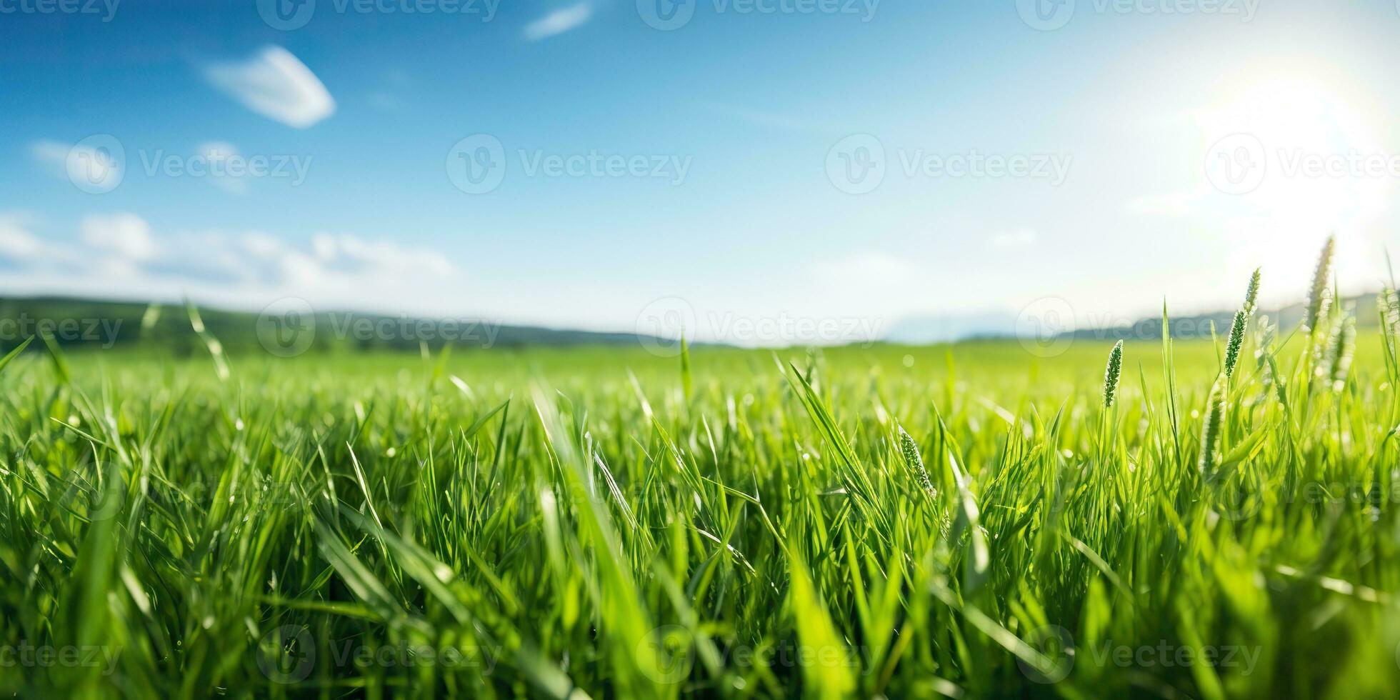 AI Generated. AI Generative. Green fresh grass field meadow with blue sky horizon background. Mock up inspirational wild outdoor nature. Graphic Art photo