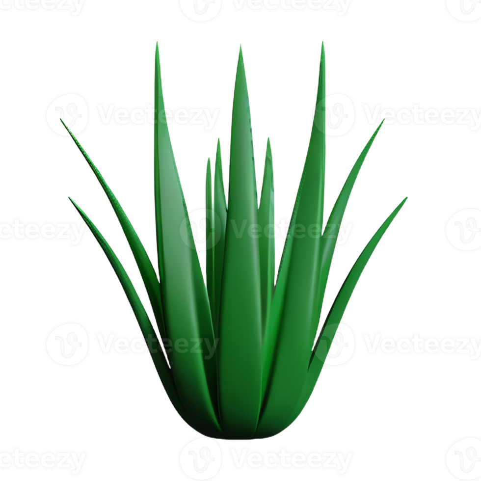aloe vera 3d rendering icon illustration png